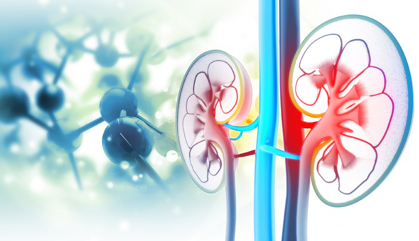 Urology Health